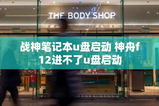 战神笔记本u盘启动 神舟f12进不了u盘启动