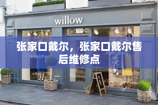 张家口戴尔，张家口戴尔售后维修点-第1张图片-星选测评