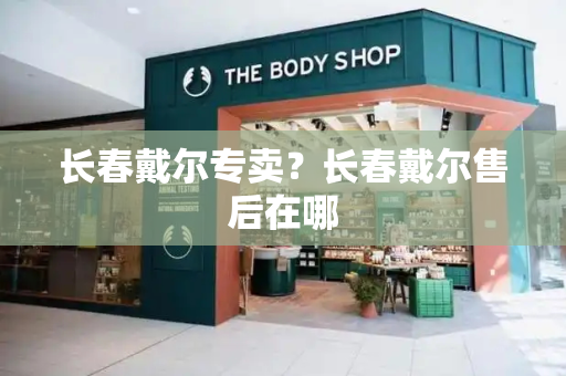 长春戴尔专卖？长春戴尔售后在哪-第1张图片-星选测评