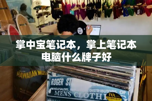 掌中宝笔记本，掌上笔记本电脑什么牌子好
