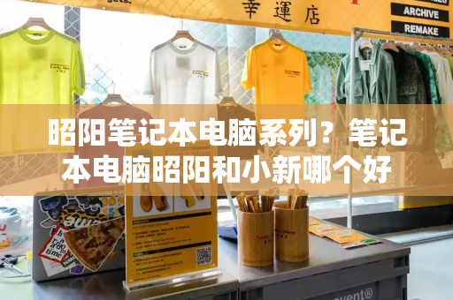 昭阳笔记本电脑系列？笔记本电脑昭阳和小新哪个好