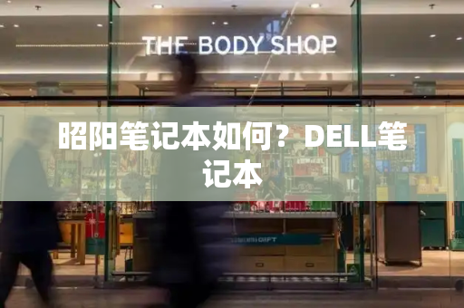 昭阳笔记本如何？DELL笔记本