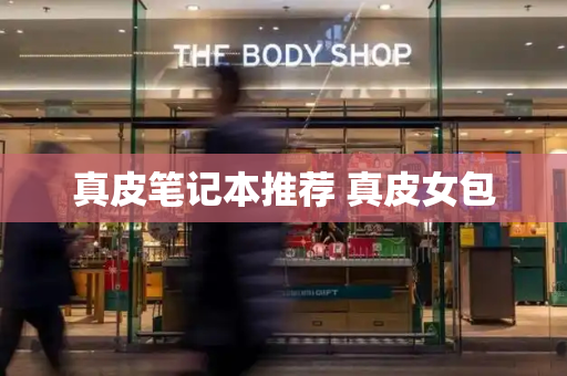 真皮笔记本推荐 真皮女包