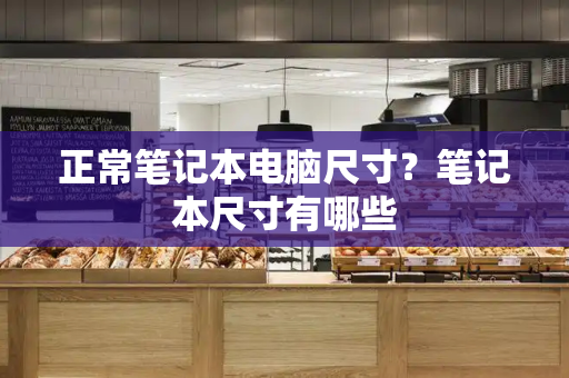 正常笔记本电脑尺寸？笔记本尺寸有哪些