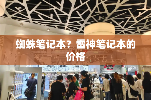 蜘蛛笔记本？雷神笔记本的价格-第1张图片-星选测评