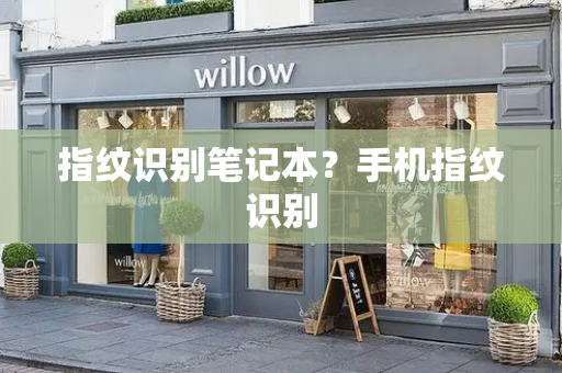 指纹识别笔记本？手机指纹识别