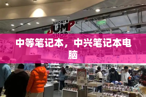 中等笔记本，中兴笔记本电脑-第1张图片-星选测评