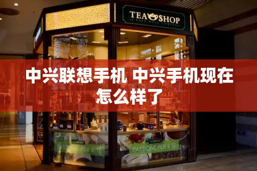 中兴联想手机 中兴手机现在怎么样了-第1张图片-星选测评