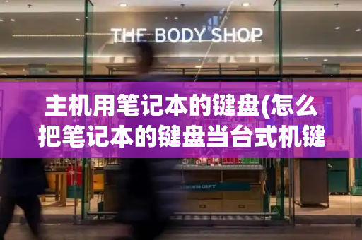 主机用笔记本的键盘(怎么把笔记本的键盘当台式机键盘用)-第1张图片-星选测评