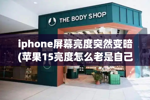 iphone屏幕亮度突然变暗(苹果15亮度怎么老是自己变暗)-第1张图片-星选测评