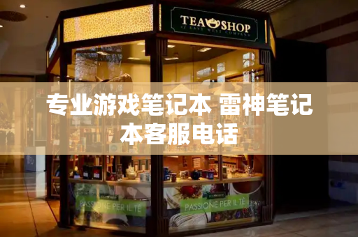 专业游戏笔记本 雷神笔记本客服电话