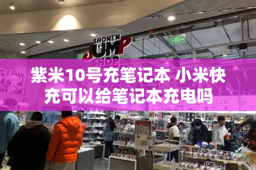 紫米10号充笔记本 小米快充可以给笔记本充电吗-第1张图片-星选测评