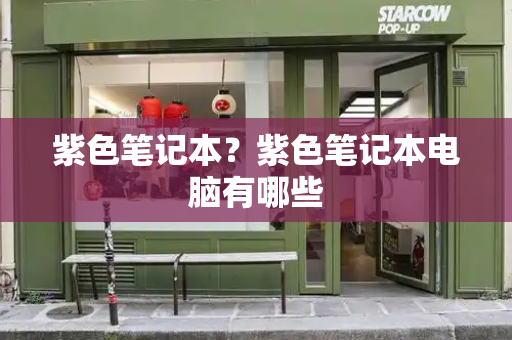 紫色笔记本？紫色笔记本电脑有哪些