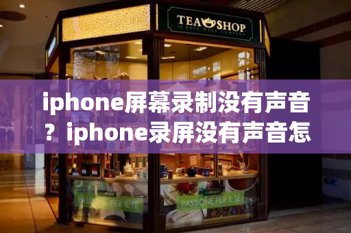 iphone屏幕录制没有声音？iphone录屏没有声音怎么恢复-第1张图片-星选测评