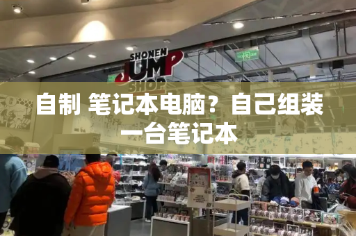 自制 笔记本电脑？自己组装一台笔记本
