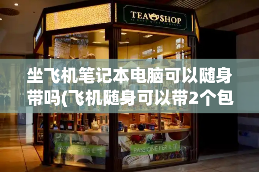 坐飞机笔记本电脑可以随身带吗(飞机随身可以带2个包吗)