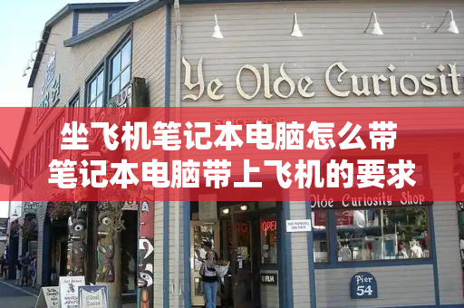 坐飞机笔记本电脑怎么带 笔记本电脑带上飞机的要求