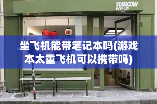 坐飞机能带笔记本吗(游戏本太重飞机可以携带吗)