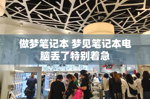 做梦笔记本 梦见笔记本电脑丢了特别着急-第1张图片-星选测评