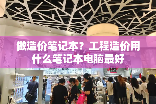 做造价笔记本？工程造价用什么笔记本电脑最好