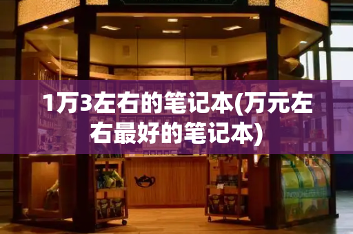 1万3左右的笔记本(万元左右最好的笔记本)