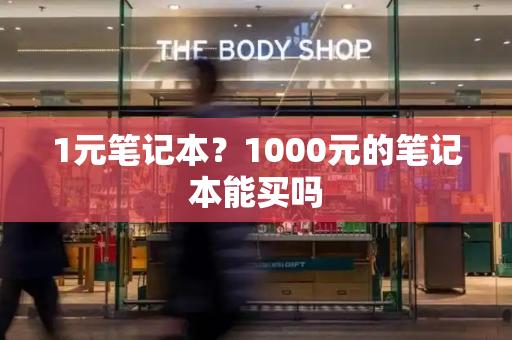 1元笔记本？1000元的笔记本能买吗-第1张图片-星选测评