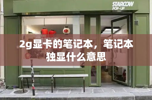 2g显卡的笔记本，笔记本独显什么意思-第1张图片-星选测评