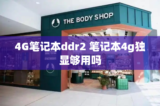 4G笔记本ddr2 笔记本4g独显够用吗