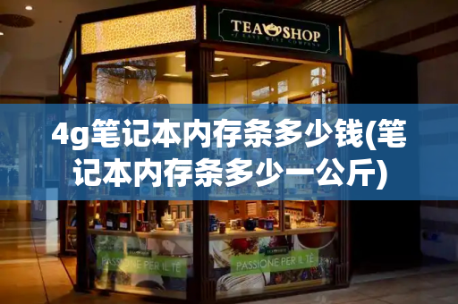 4g笔记本内存条多少钱(笔记本内存条多少一公斤)-第1张图片-星选测评
