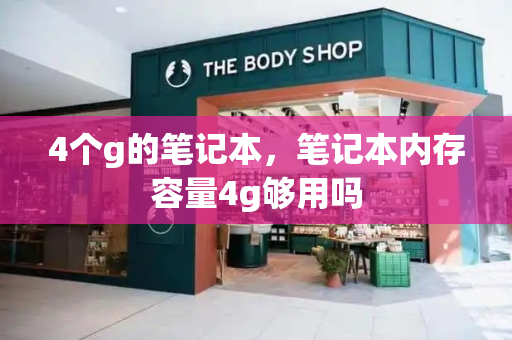 4个g的笔记本，笔记本内存容量4g够用吗