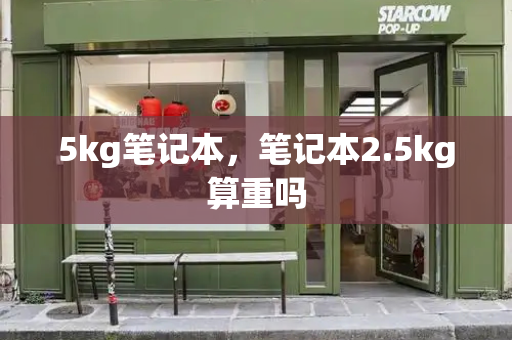 5kg笔记本，笔记本2.5kg算重吗-第1张图片-星选测评