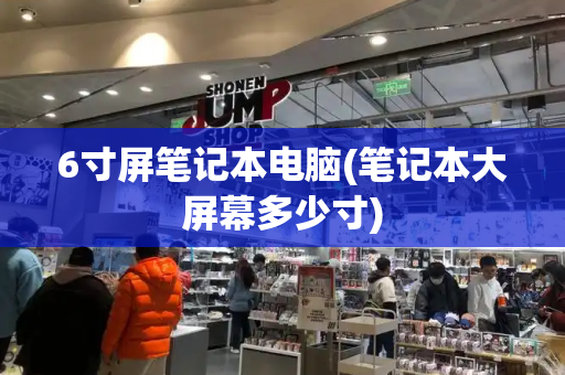 6寸屏笔记本电脑(笔记本大屏幕多少寸)