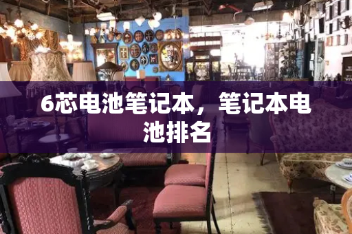 6芯电池笔记本，笔记本电池排名