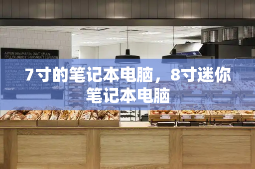 7寸的笔记本电脑，8寸迷你笔记本电脑-第1张图片-星选测评