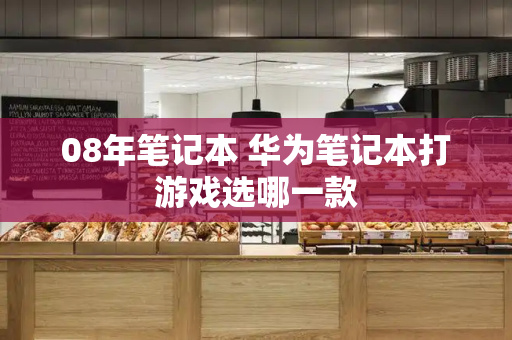 08年笔记本 华为笔记本打游戏选哪一款-第1张图片-星选测评