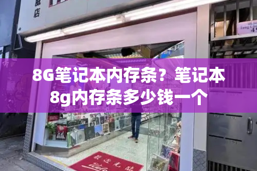 8G笔记本内存条？笔记本8g内存条多少钱一个-第1张图片-星选测评