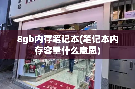 8gb内存笔记本(笔记本内存容量什么意思)