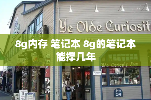 8g内存 笔记本 8g的笔记本能撑几年-第1张图片-星选测评