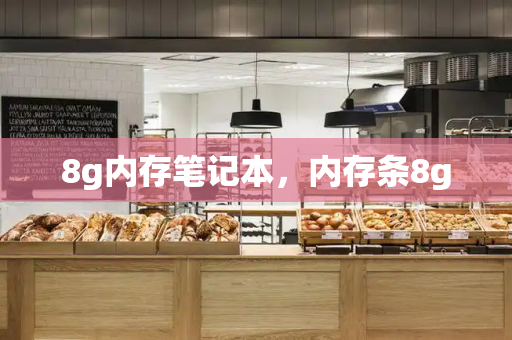 8g内存笔记本，内存条8g