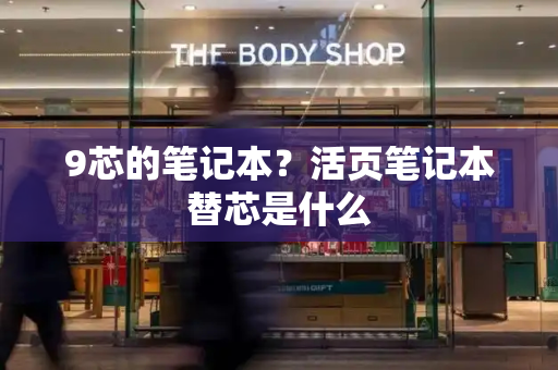 9芯的笔记本？活页笔记本替芯是什么