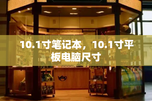 10.1寸笔记本，10.1寸平板电脑尺寸-第1张图片-星选测评
