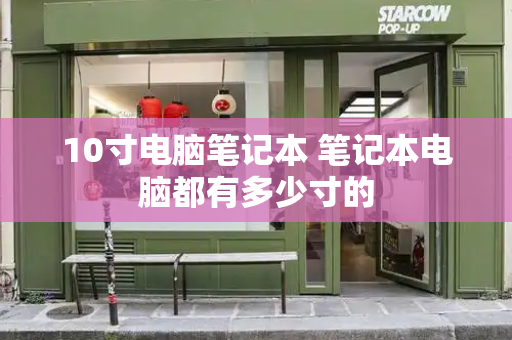10寸电脑笔记本 笔记本电脑都有多少寸的-第1张图片-星选测评
