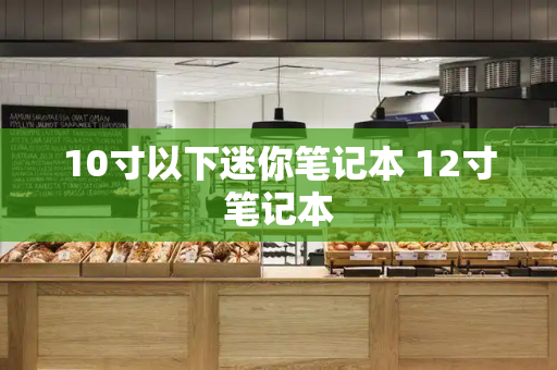 10寸以下迷你笔记本 12寸笔记本