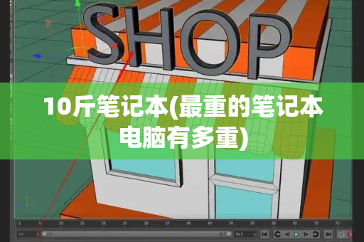 10斤笔记本(最重的笔记本电脑有多重)