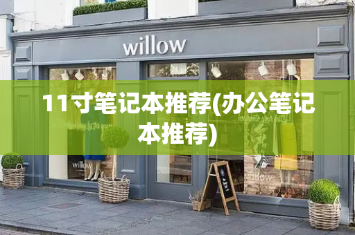 11寸笔记本推荐(办公笔记本推荐)