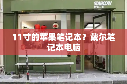 11寸的苹果笔记本？戴尔笔记本电脑