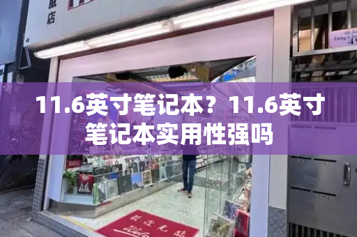 11.6英寸笔记本？11.6英寸笔记本实用性强吗