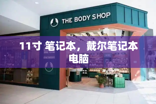 11寸 笔记本，戴尔笔记本电脑-第1张图片-星选测评
