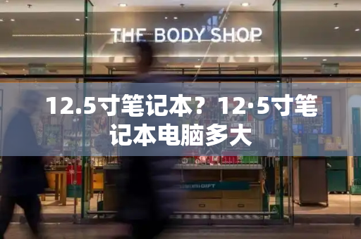 12.5寸笔记本？12·5寸笔记本电脑多大