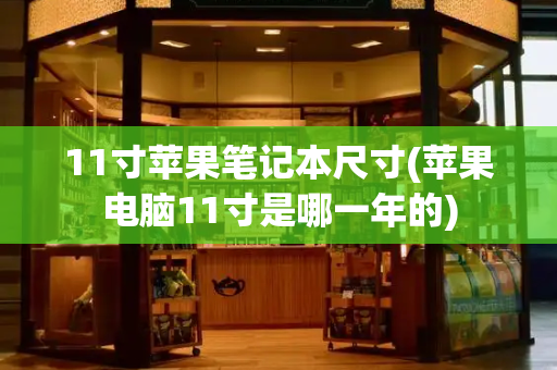 11寸苹果笔记本尺寸(苹果电脑11寸是哪一年的)-第1张图片-星选测评